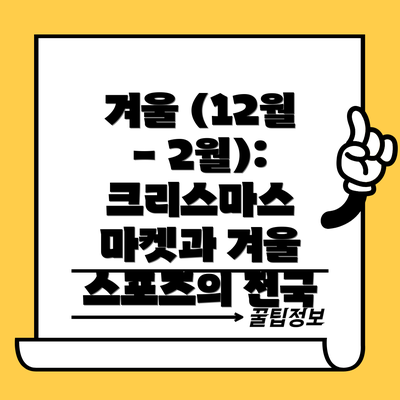 겨울 (12월 - 2월): 크리스마스 마켓과 겨울 스포츠의 천국