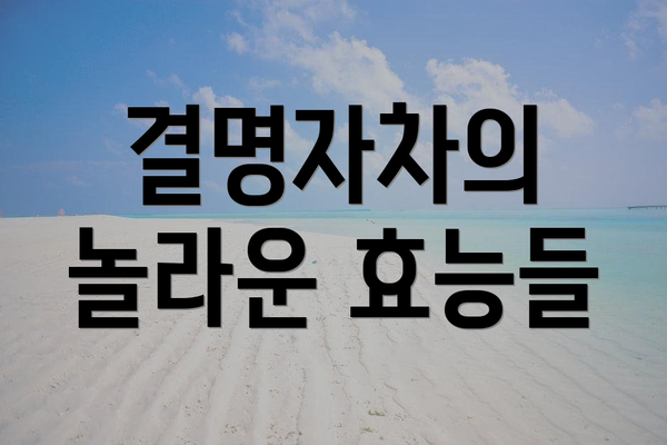 결명자차의 놀라운 효능들