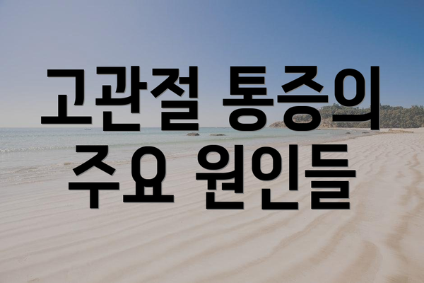 고관절 통증의 주요 원인들