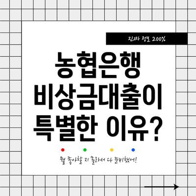 농협은행 비상금대출이 특별한 이유?