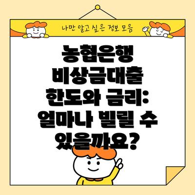농협은행 비상금대출 한도와 금리: 얼마나 빌릴 수 있을까요?