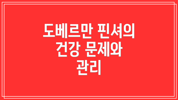 도베르만 핀셔의 건강 문제와 관리