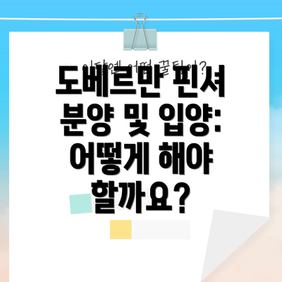 도베르만 핀셔 분양 및 입양: 어떻게 해야 할까요?