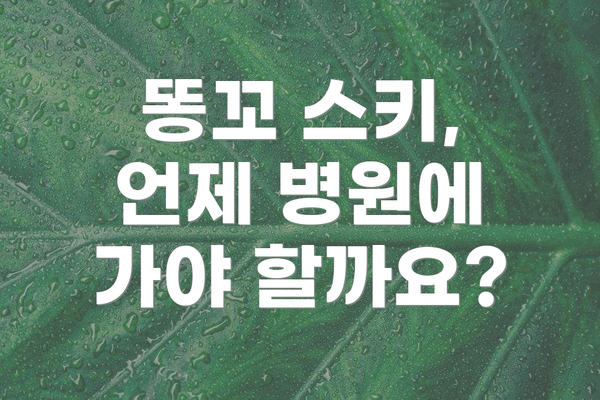 똥꼬 스키, 언제 병원에 가야 할까요?