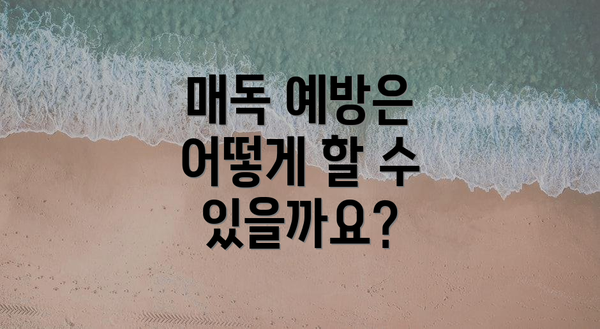 매독 예방은 어떻게 할 수 있을까요?