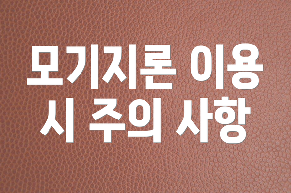 모기지론 이용 시 주의 사항