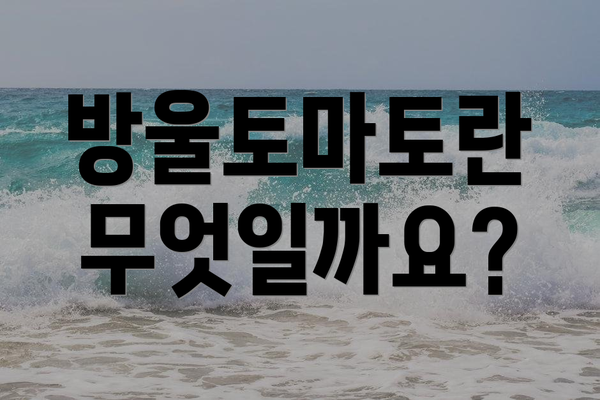 방울토마토란 무엇일까요?