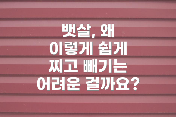 뱃살, 왜 이렇게 쉽게 찌고 빼기는 어려운 걸까요?