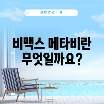 비맥스 메타비란 무엇일까요?