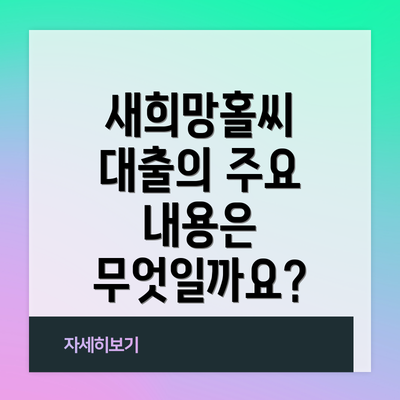 새희망홀씨 대출의 주요 내용은 무엇일까요?