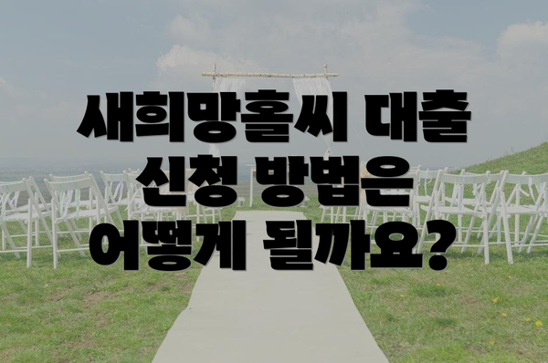 새희망홀씨 대출 신청 방법은 어떻게 될까요?