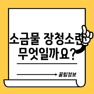소금물 장청소란 무엇일까요?