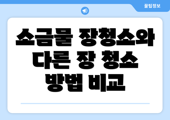 소금물 장청소와 다른 장 청소 방법 비교