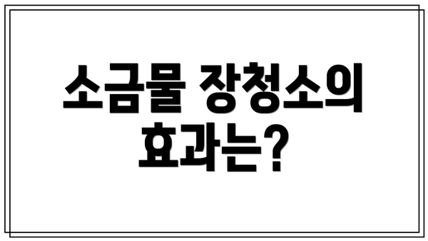소금물 장청소의 효과는?