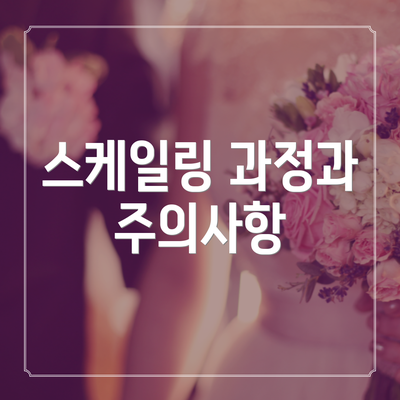 스케일링 과정과 주의사항