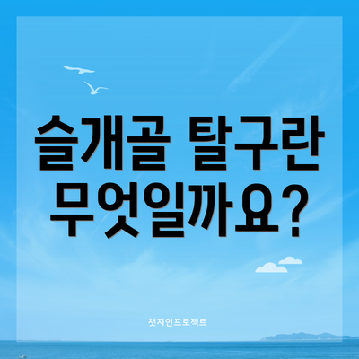 슬개골 탈구란 무엇일까요?