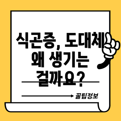 식곤증, 도대체 왜 생기는 걸까요?