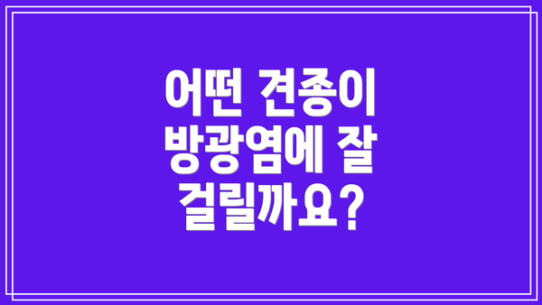 어떤 견종이 방광염에 잘 걸릴까요?