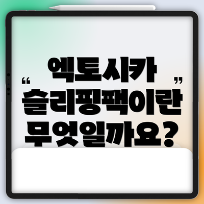 엑토시카 슬리핑팩이란 무엇일까요?
