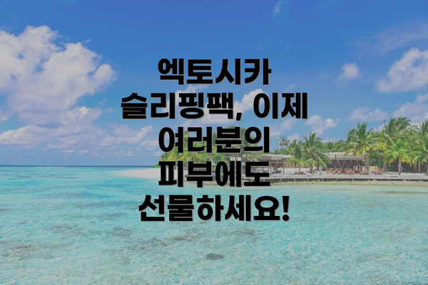 엑토시카 슬리핑팩, 이제 여러분의 피부에도 선물하세요!
