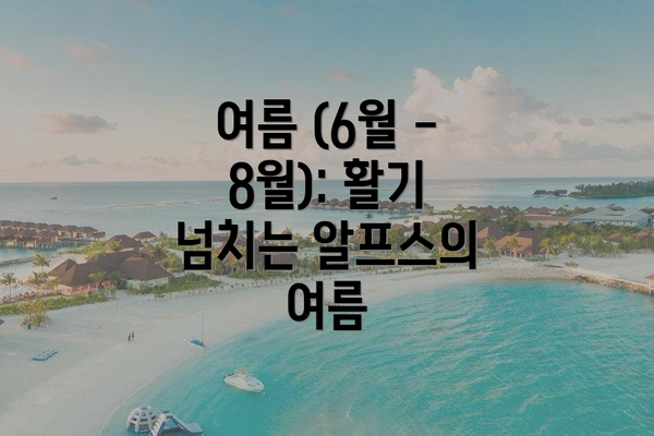 여름 (6월 - 8월): 활기 넘치는 알프스의 여름