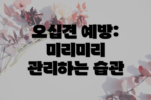오십견 예방: 미리미리 관리하는 습관