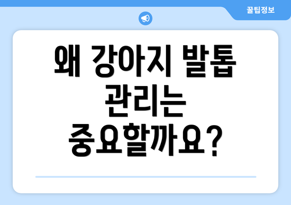 왜 강아지 발톱 관리는 중요할까요?