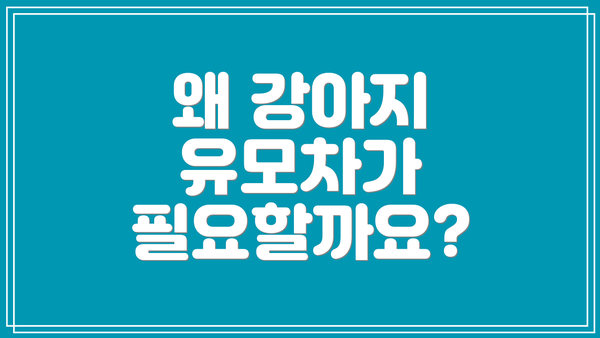 왜 강아지 유모차가 필요할까요?