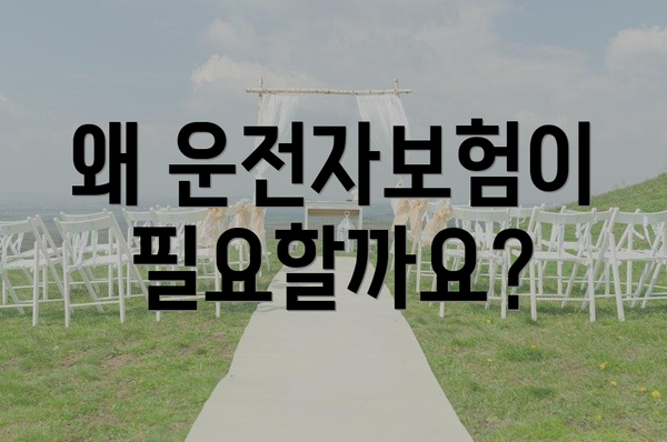 왜 운전자보험이 필요할까요?