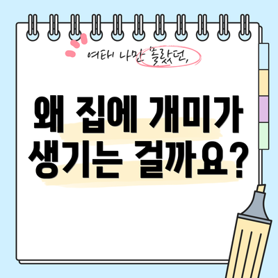 왜 집에 개미가 생기는 걸까요?