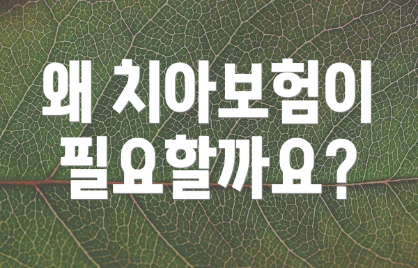 왜 치아보험이 필요할까요?