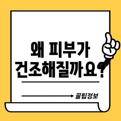 왜 피부가 건조해질까요?