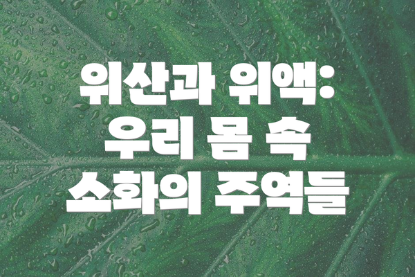 위산과 위액: 우리 몸 속 소화의 주역들