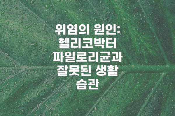 위염의 원인: 헬리코박터 파일로리균과 잘못된 생활 습관
