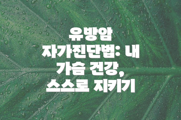 유방암 자가진단법: 내 가슴 건강, 스스로 지키기
