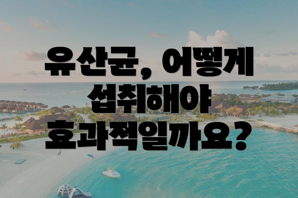 유산균, 어떻게 섭취해야 효과적일까요?