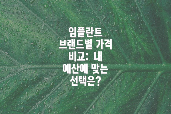 임플란트 브랜드별 가격 비교:  내 예산에 맞는 선택은?