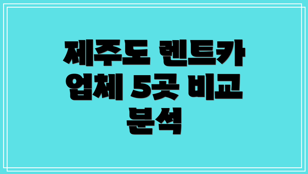 제주도 렌트카 업체 5곳 비교 분석