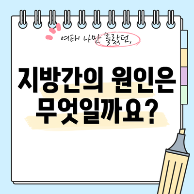 지방간의 원인은 무엇일까요?
