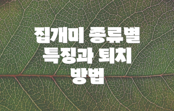 집개미 종류별 특징과 퇴치 방법