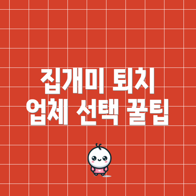 집개미 퇴치 업체 선택 꿀팁