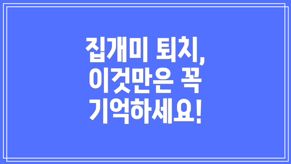 집개미 퇴치,  이것만은 꼭 기억하세요!