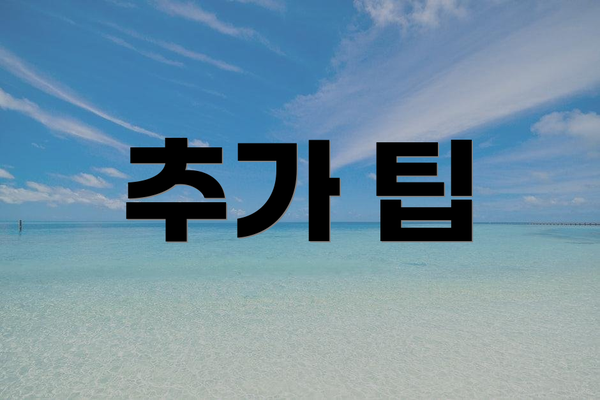 추가 팁
