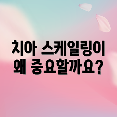 치아 스케일링이 왜 중요할까요?
