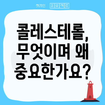 콜레스테롤, 무엇이며 왜 중요한가요?