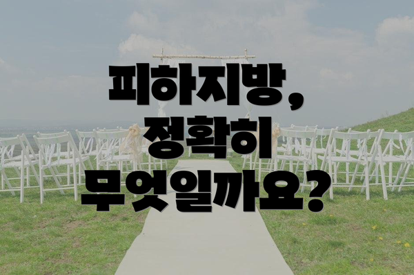 피하지방, 정확히 무엇일까요?