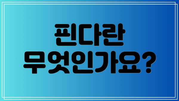 핀다란 무엇인가요?
