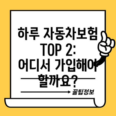 하루 자동차보험 TOP 2: 어디서 가입해야 할까요?