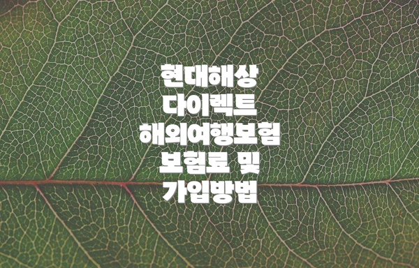 현대해상 다이렉트 해외여행보험: 보장내용 및 혜택