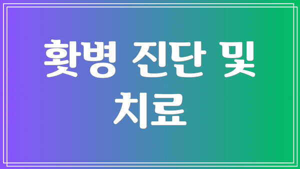 홧병 진단 및 치료